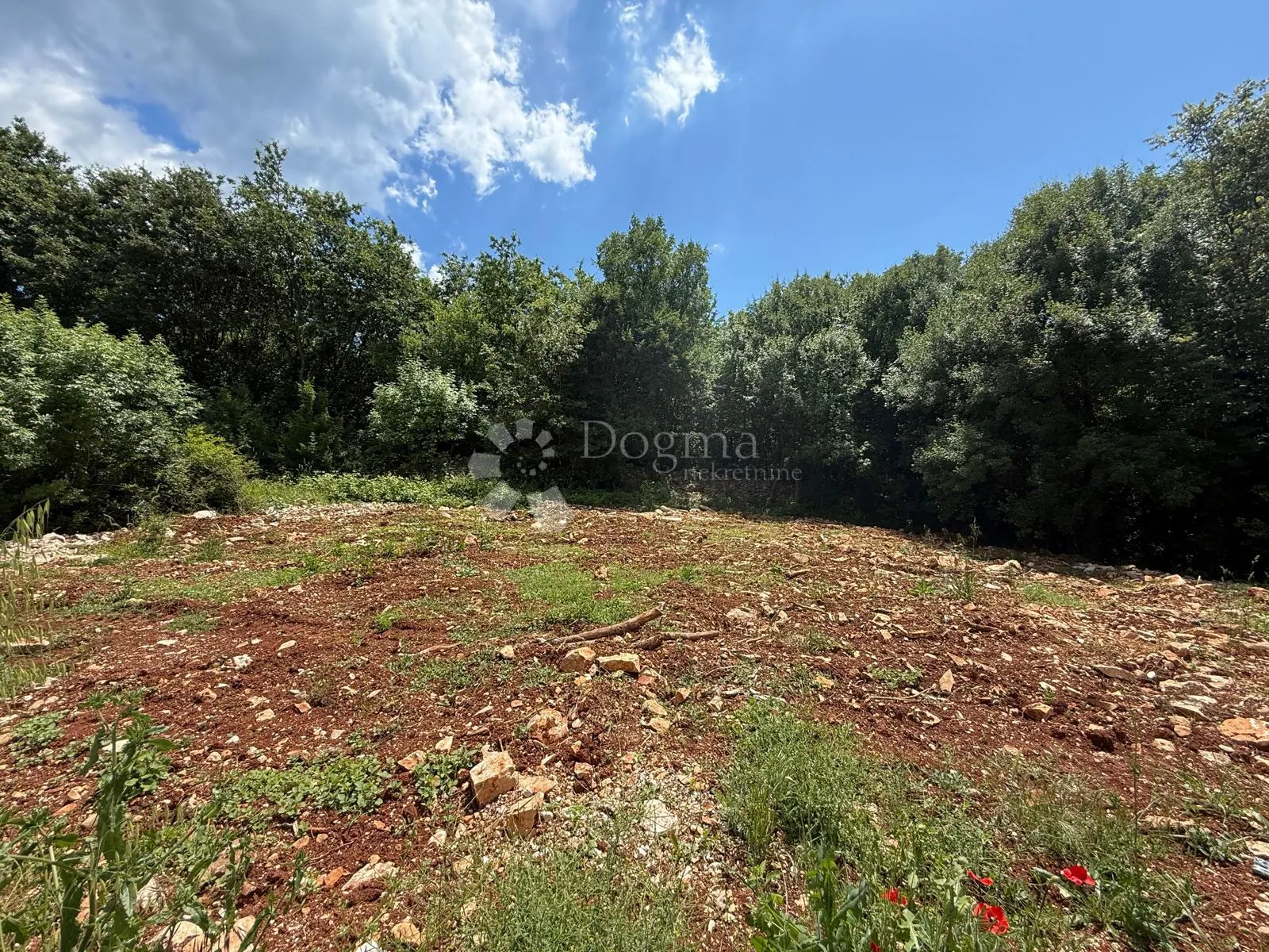 pavićini - građevinsko zemljište 687m2 - slika 2