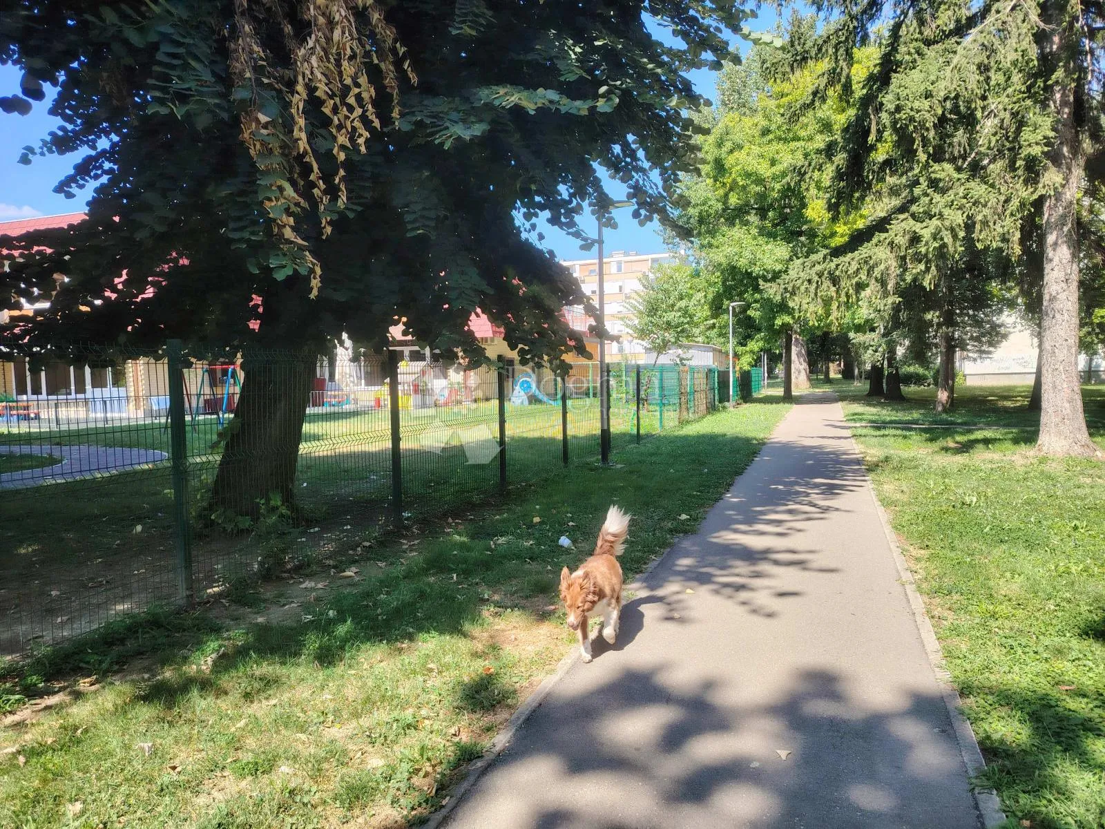 obiteljski stan u najzelenijem dijelu zagreba - slika 14
