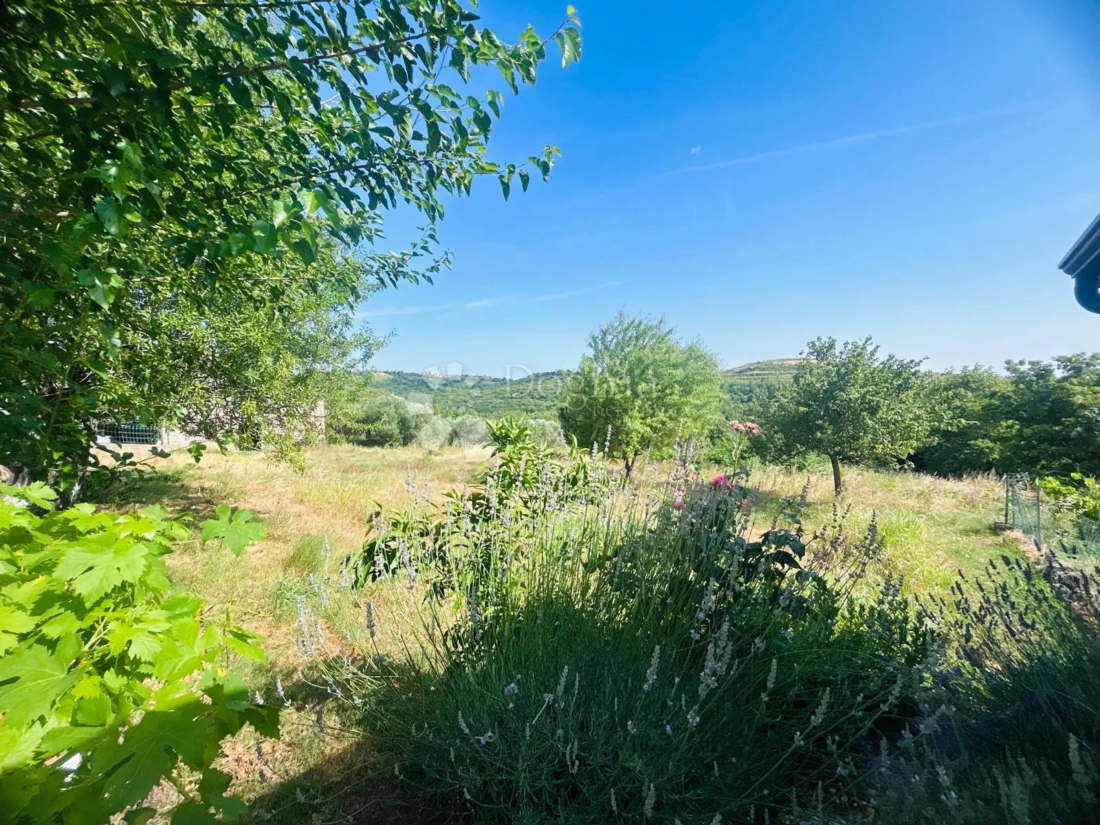 prilika!kuća s dva stana + 8153 okućnice - buje - slika 18