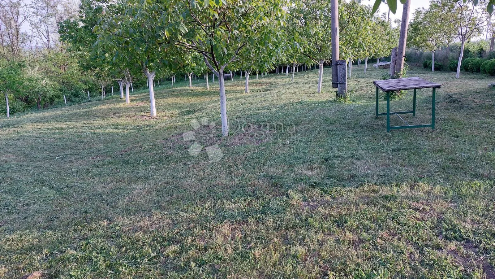 ograđen voćnjak s nasadom oraha i lješnjaka! - slika 4