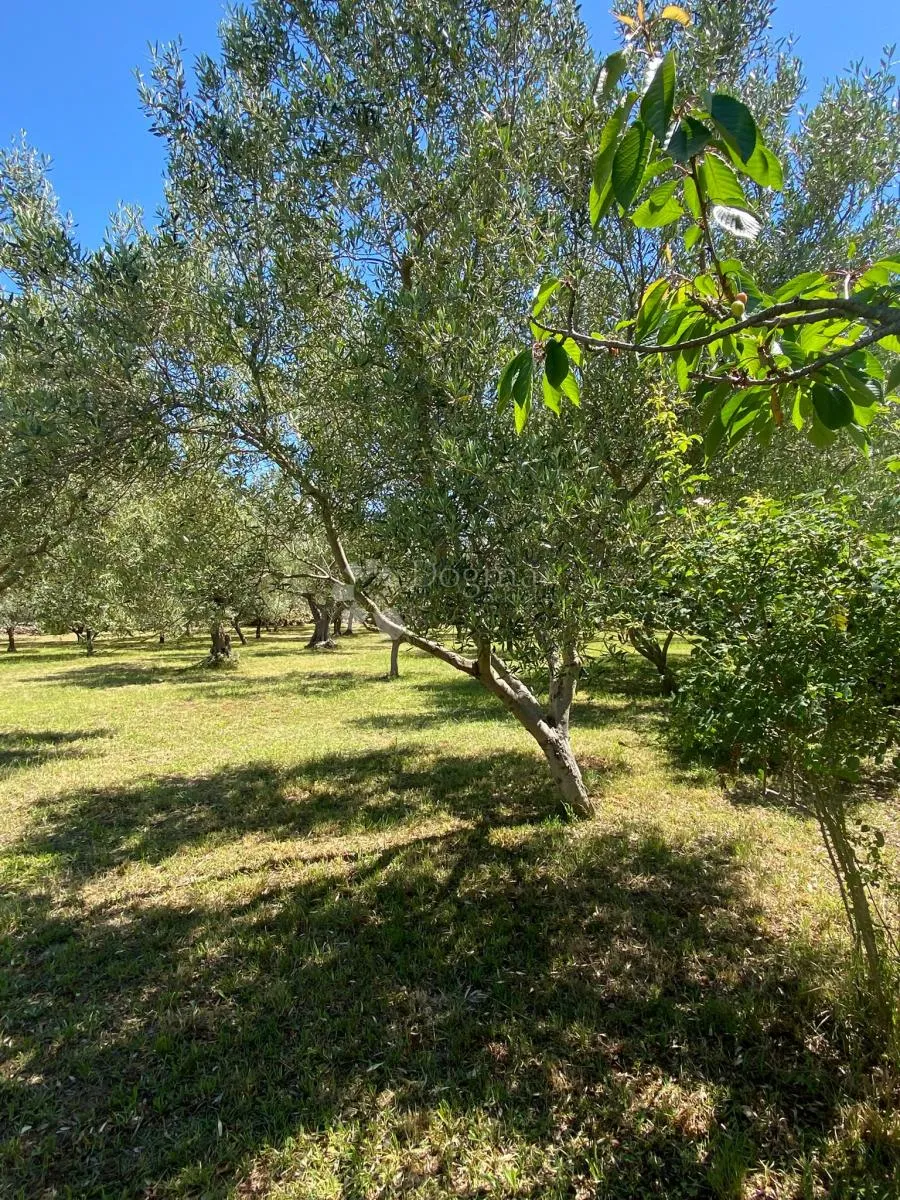 vaš privatni dašak mediterana nadomak centra peroja i plaže - slika 6