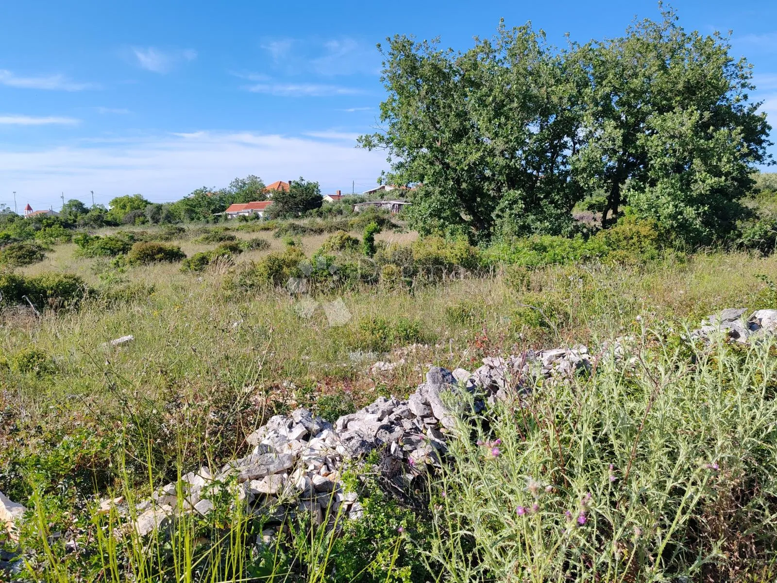 debeljak - građevinsko zemljište 8444 m² - slika 3