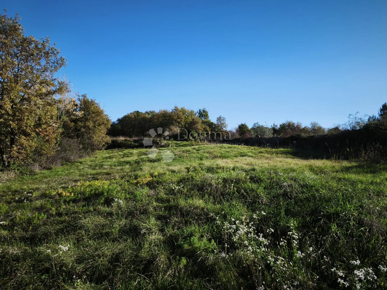 građevinsko i poljoprivredno zemljište 4.793 m² – kringa, tinjan - slika 3
