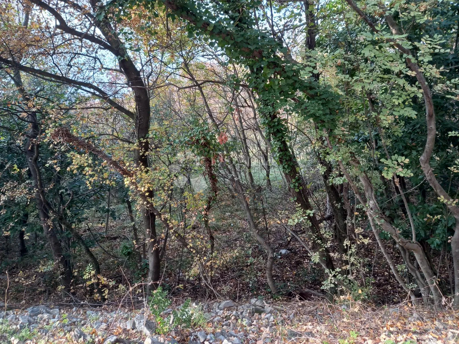 kostrena, građevinski teren sa pogledom - slika 8