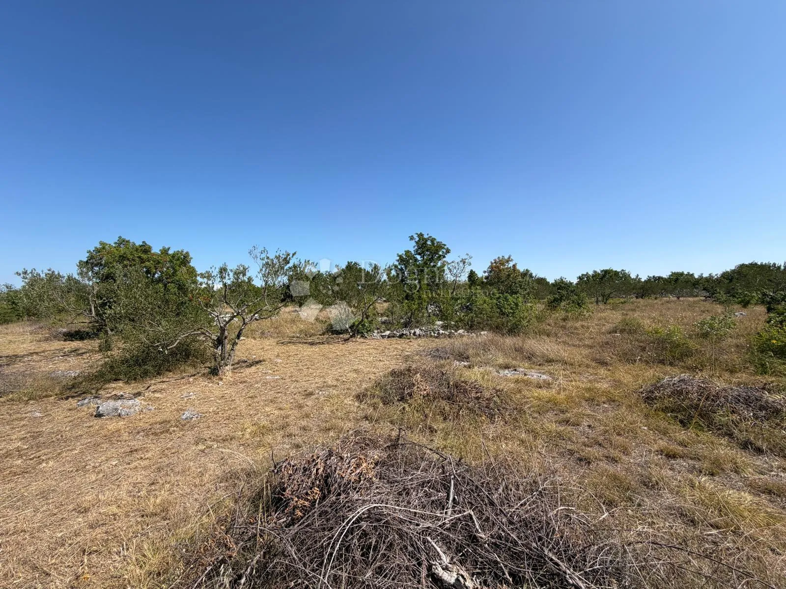 lozovac - građevinsko zemljište 9.363 m², investicija - slika 5