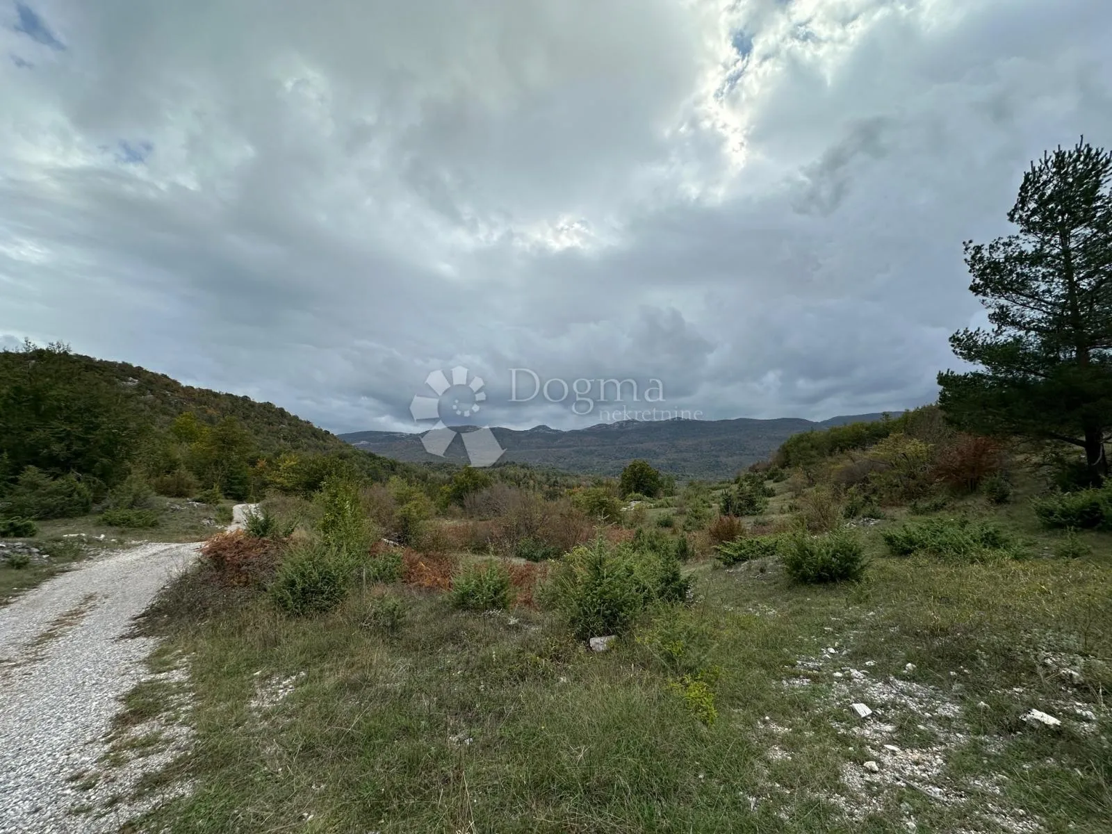 sv rok građevinsko zemljište 50000 m2 - slika 6