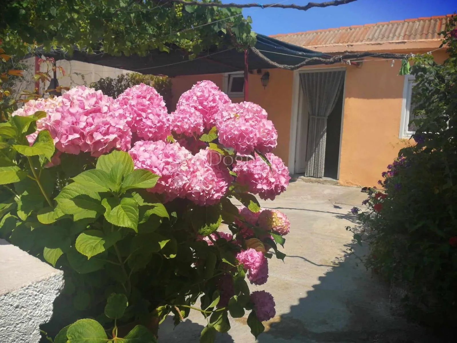 prodaje se kuća, ljubački stanovi - slika 2