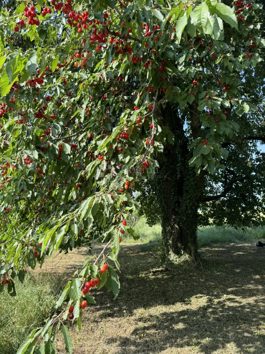 šarmantna mala klijet za veliki odmor u prirodi - slika 11