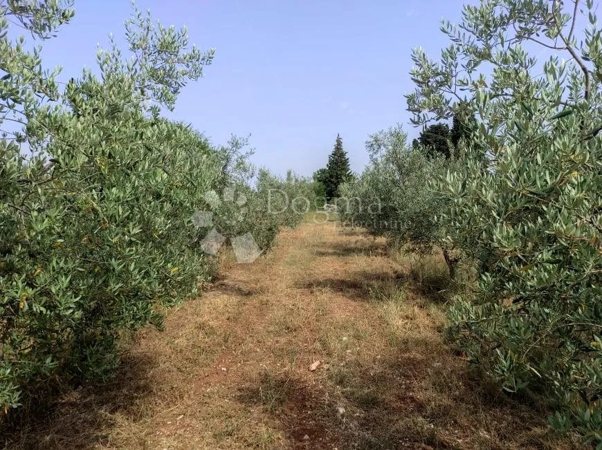 prekrasna stancija u okolici pule, s 10000 m² urbaniziranog zemljišta - slika 39