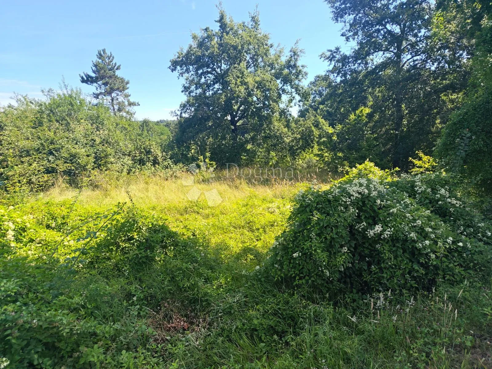 građevinsko zemljište s infrastrukturom, 2290 m² okolica pazina - slika 10