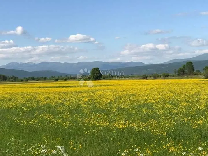 sveti rok - poljoprivredno zemljište - slika 3