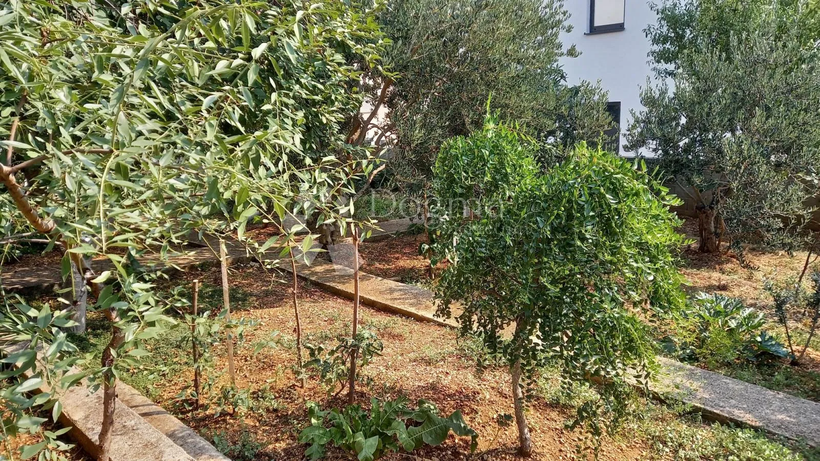 apartmanska kuća sa velikom okućnicom - slika 32