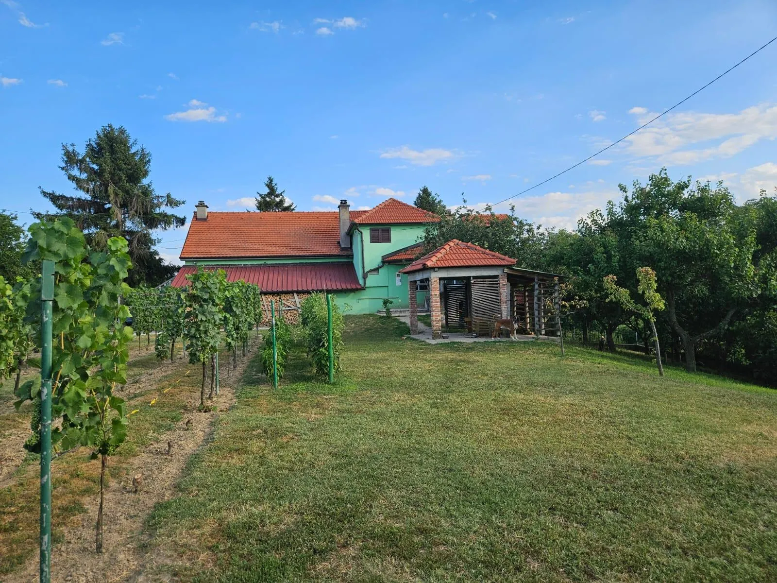 draž – ekskluzivno imanje za život i turizam - slika 4