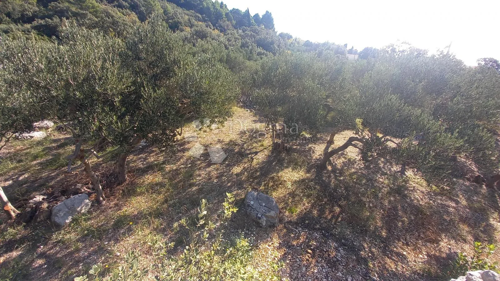 građevinsko zemljište uz magistralu 604m2 živogošće - slika 4