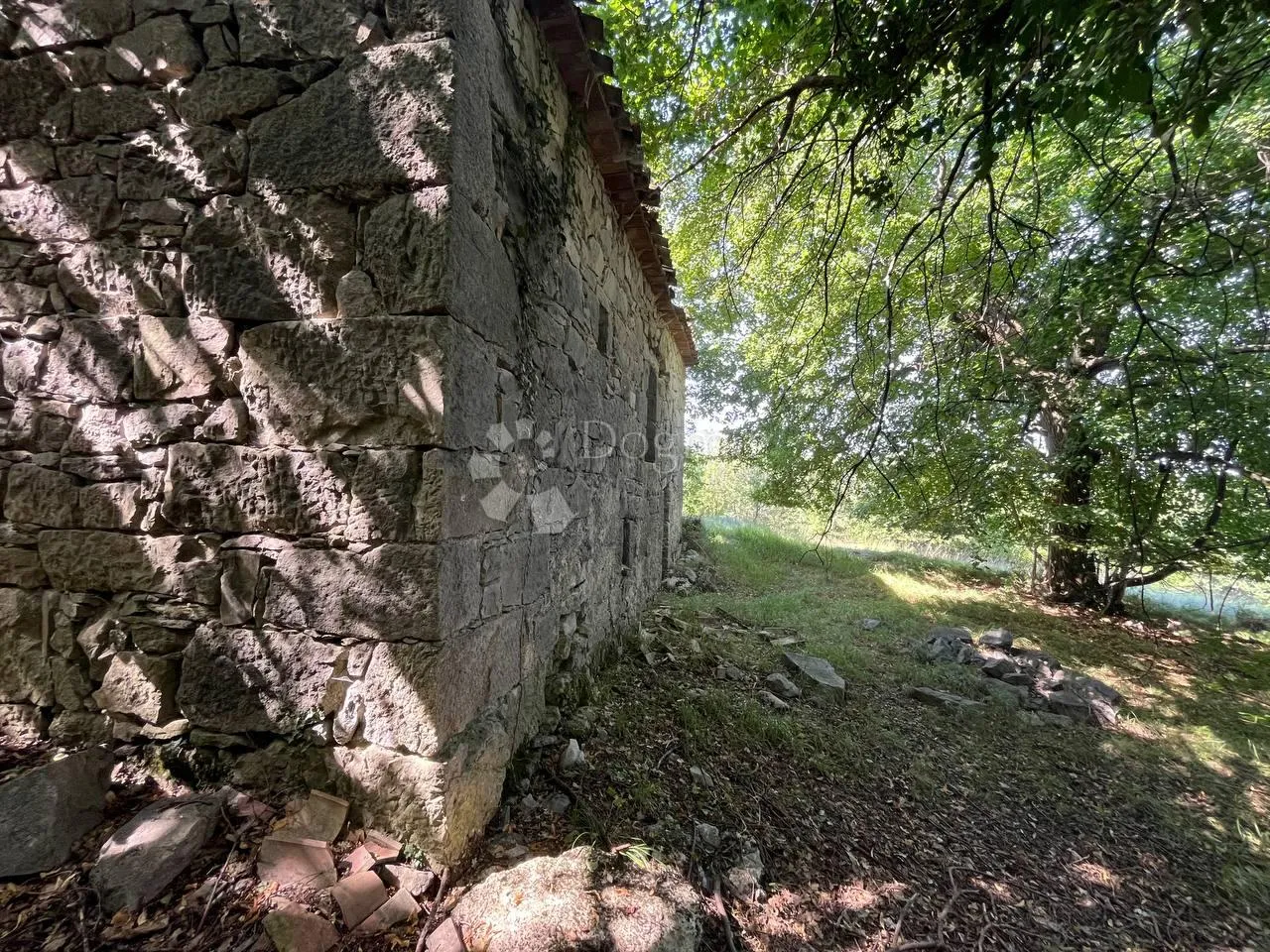 starina sa potencijalom za odličan prihod - slika 4
