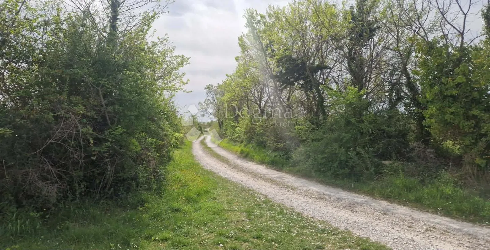 smoković - poljoprivredno zemljište 6031 m2 - prodaja - slika 4