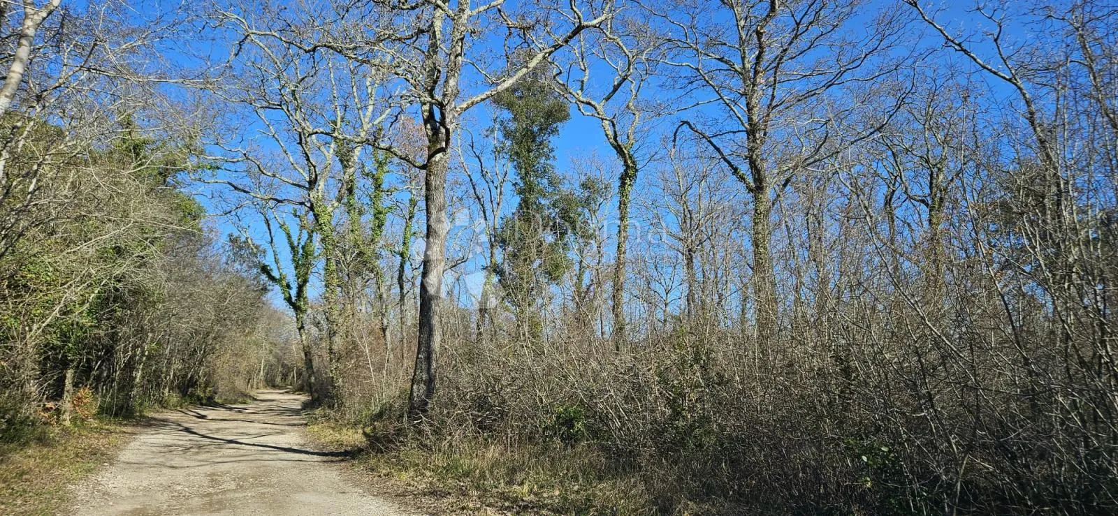 poljoprivredno zemljište 2 km od mora - slika 4