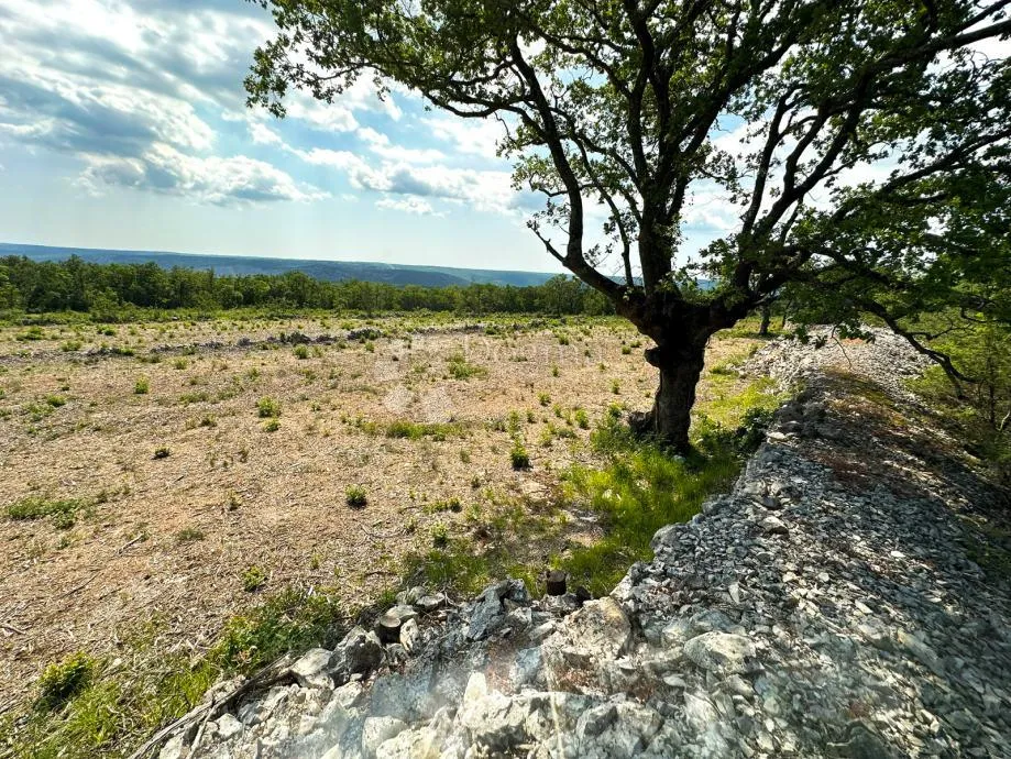 atraktivno građevinsko zemljište, pogled more 8.600m2 ! - slika 4