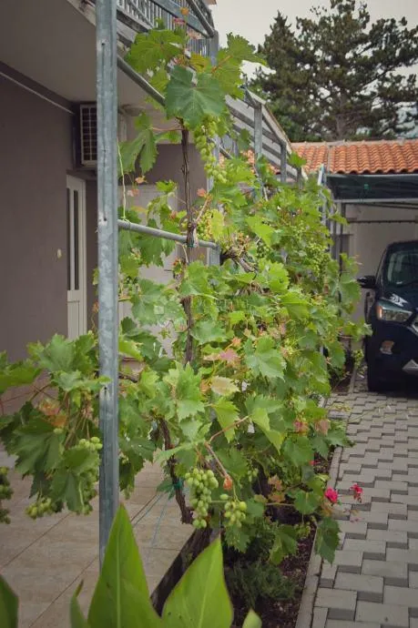 kuća 100 metara od mora - prilika! - slika 6