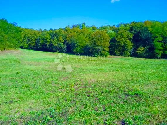 impresivna građevna parcela, 22.000 m2 - slika 5