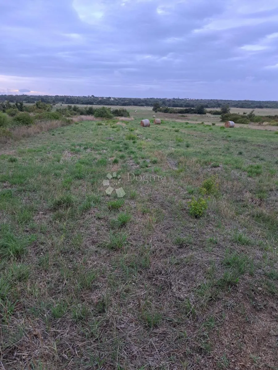 benkovac - poljoprivredno zemljište 4000m2 - slika 2