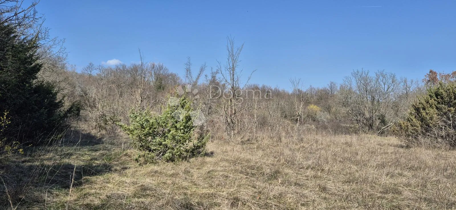 poljoprivredno zemljište površine 7962 m2 - slika 5