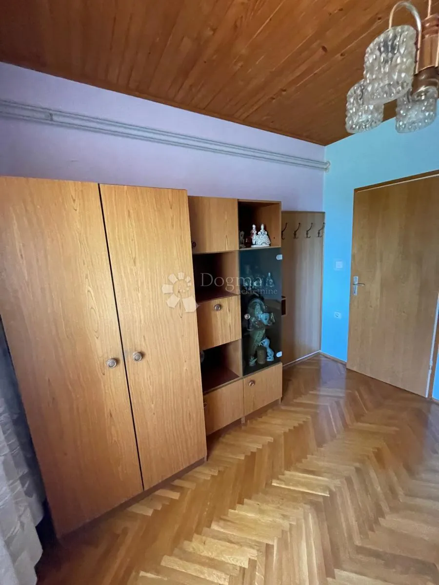 komadić raja koji traži pažnju - slika 40