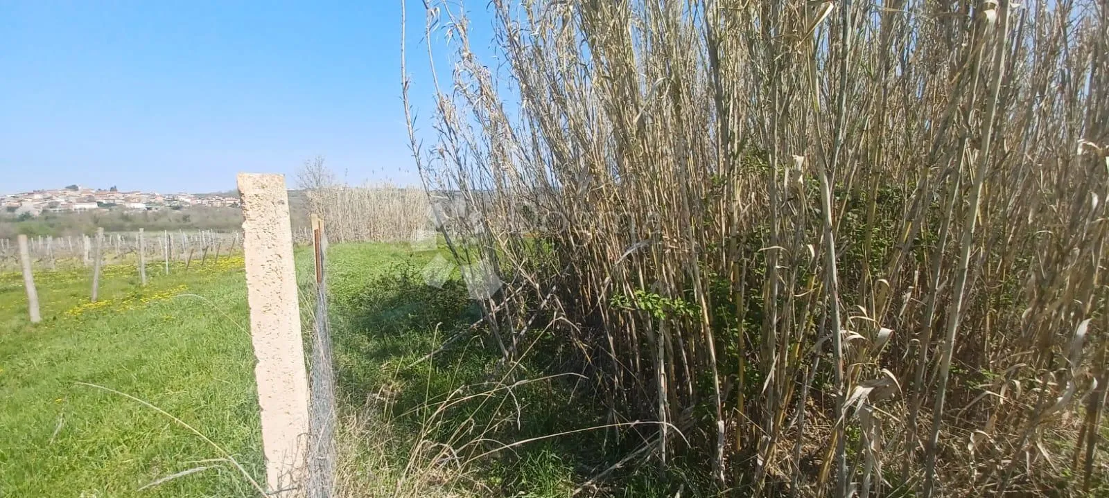 poljoprivredno zemljište u blizni brtonigle - slika 3
