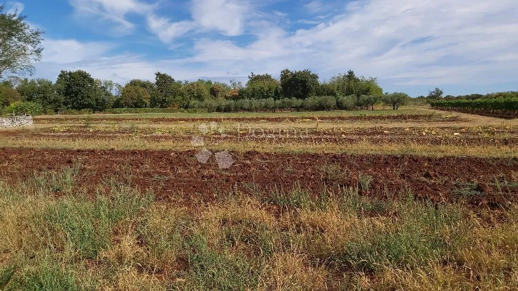 prekrasno imanje u marčani - slika 25