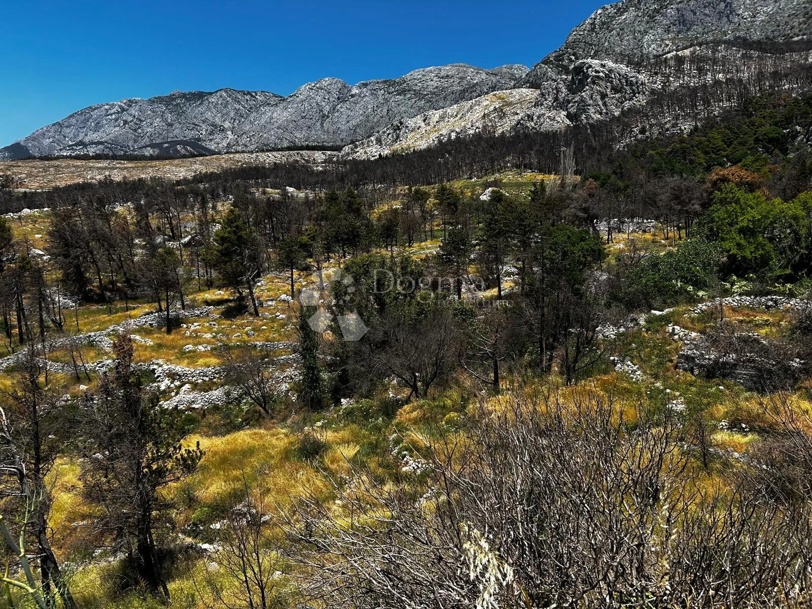 poljoprivredna zemljišta - podgora - slika 2