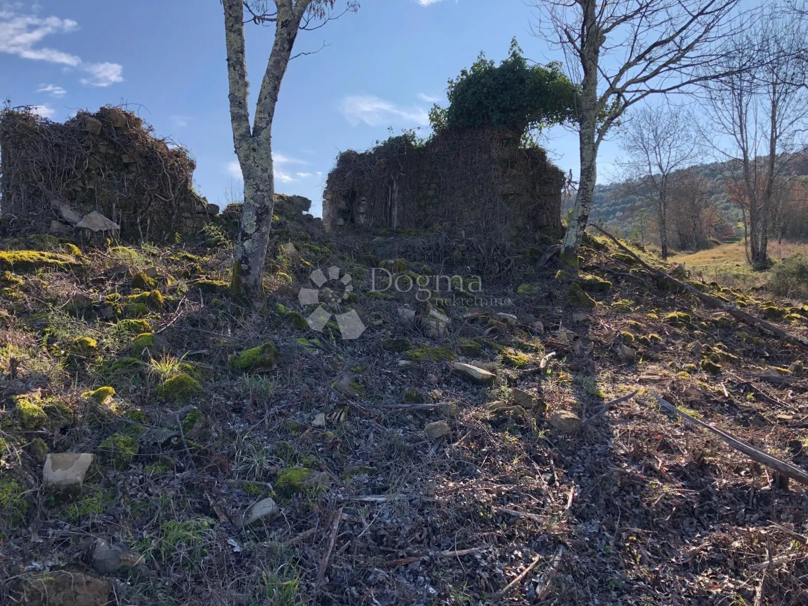 motovun - prekrasno imanje s panoramskim pogledom - slika 6