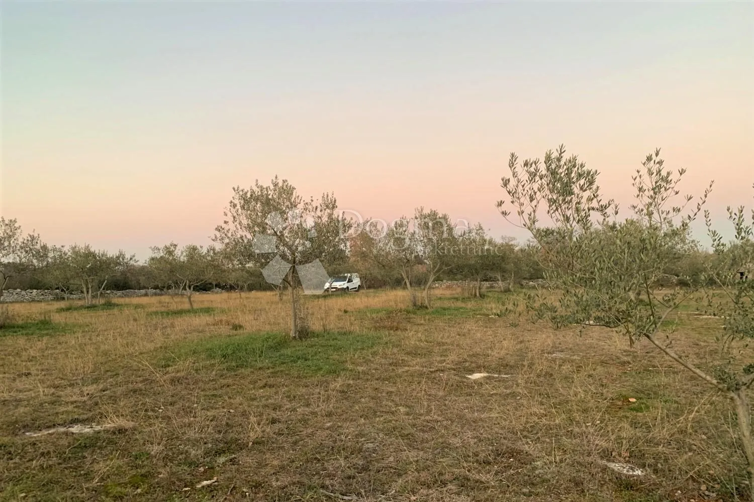 bale – maslinik i šuma 3 km od mora - slika 11