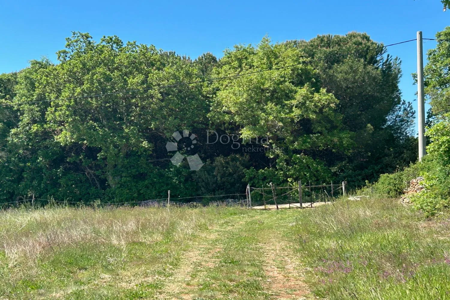 svetvinčenat – odlična parcela uz rub građevinske zone - slika 8