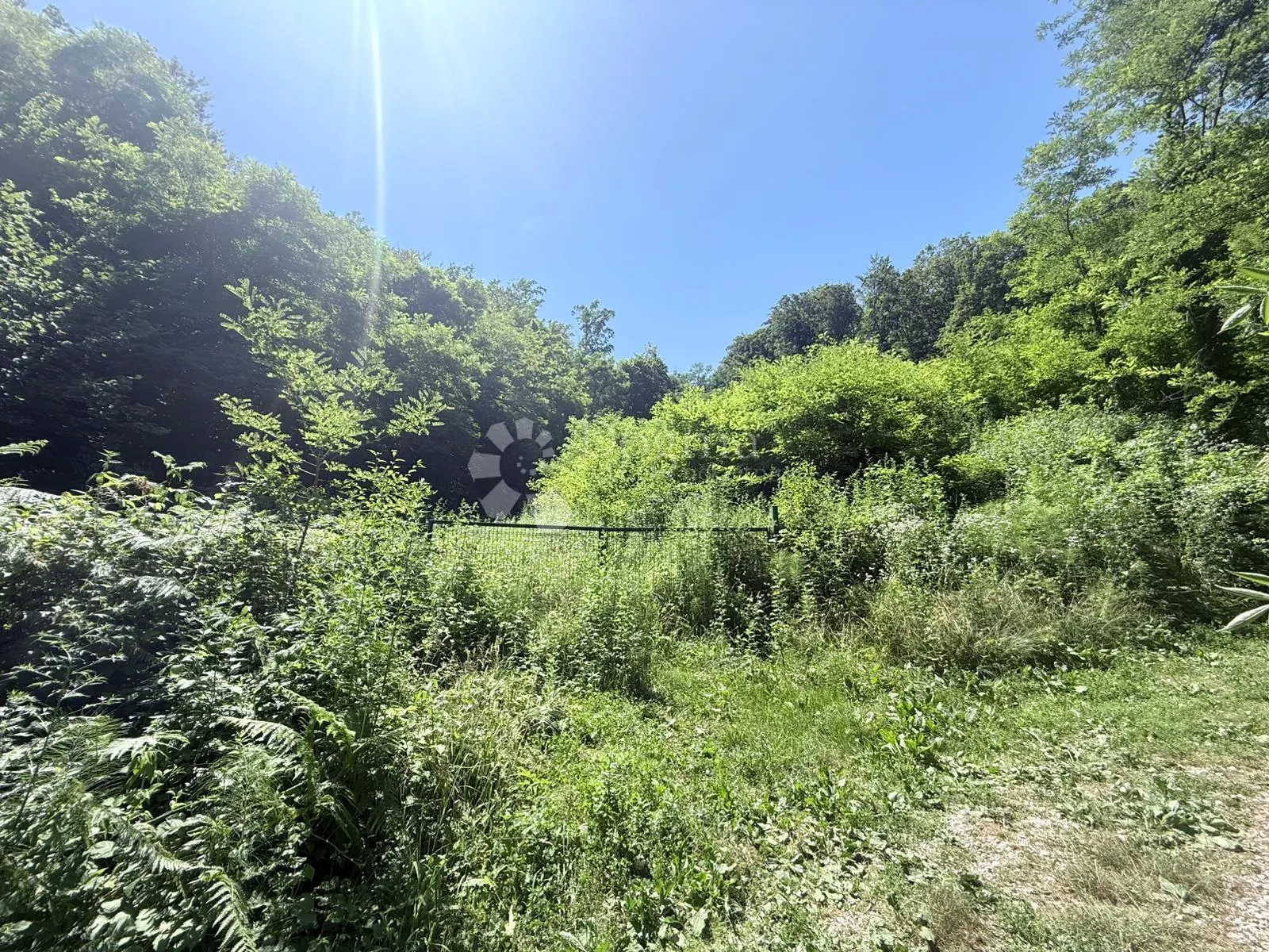 Prodaja poljoprivrednog zemljišta, Glibočec, 15825 m2 - Zagreb
