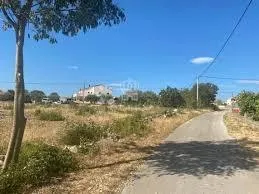 prilika! građevinsko zemljište 726 m2, pridraga (zadar) - slika 2