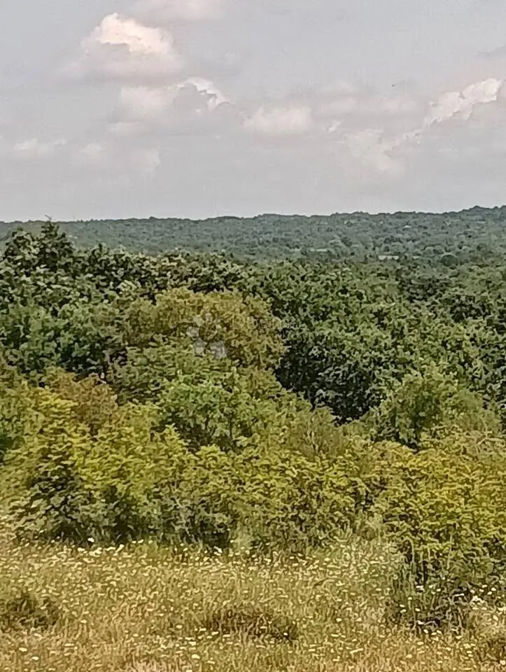 poljoprivredno zemljište 47760m2 - krmed - slika 9