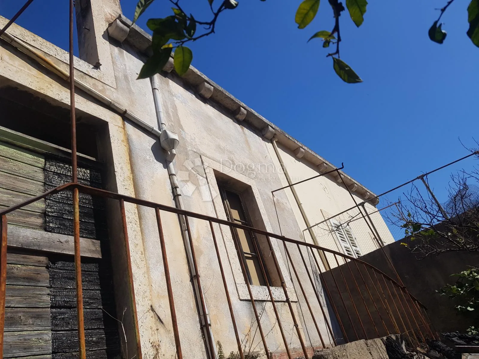 starina na korčuli - slika 6