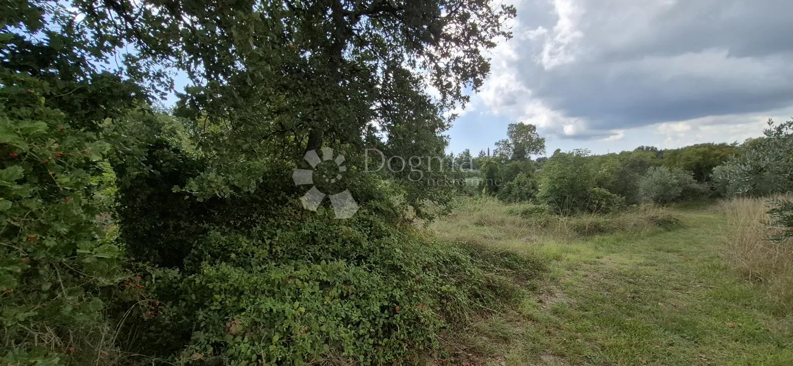 prodaje se poljoprivredno zemljište - kavran 1173 m2 - slika 2