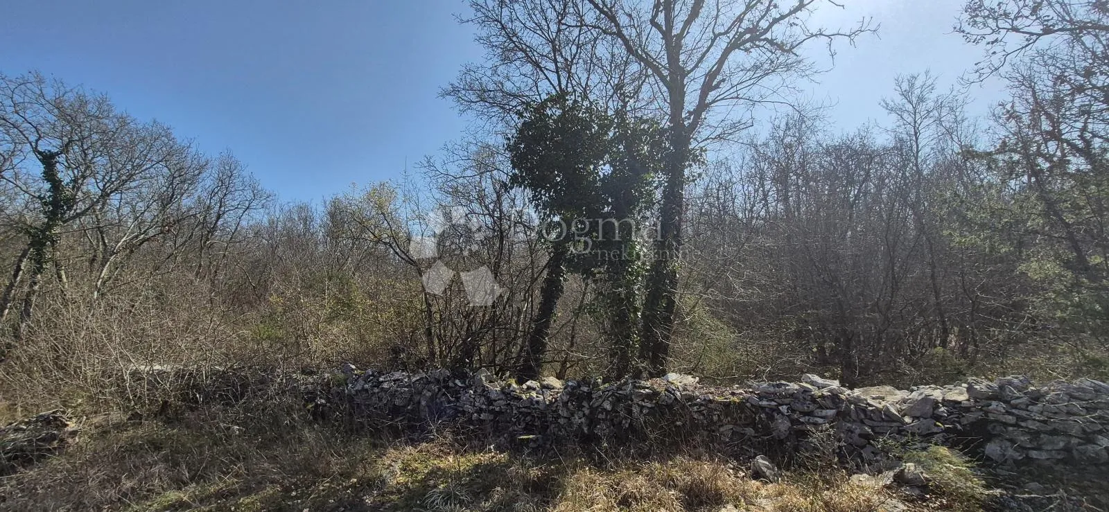 poljoprivredno zemljište površine 23953 m2 sa ogromnim potencijalom - slika 4