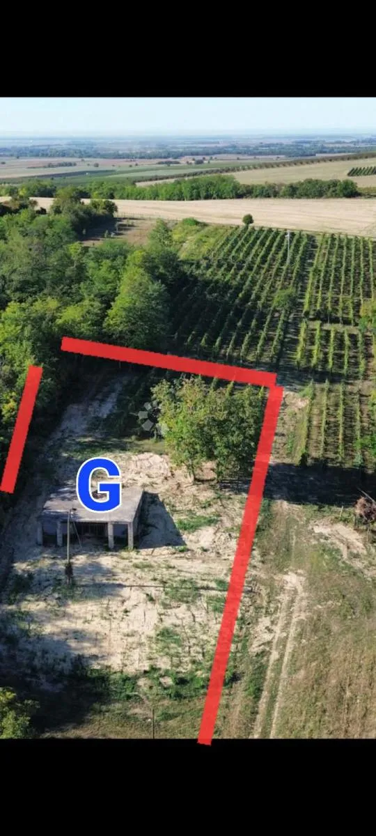 draž - zgrada za ekskluzivnu vinariju s kušaonicom i bazenom - slika 2