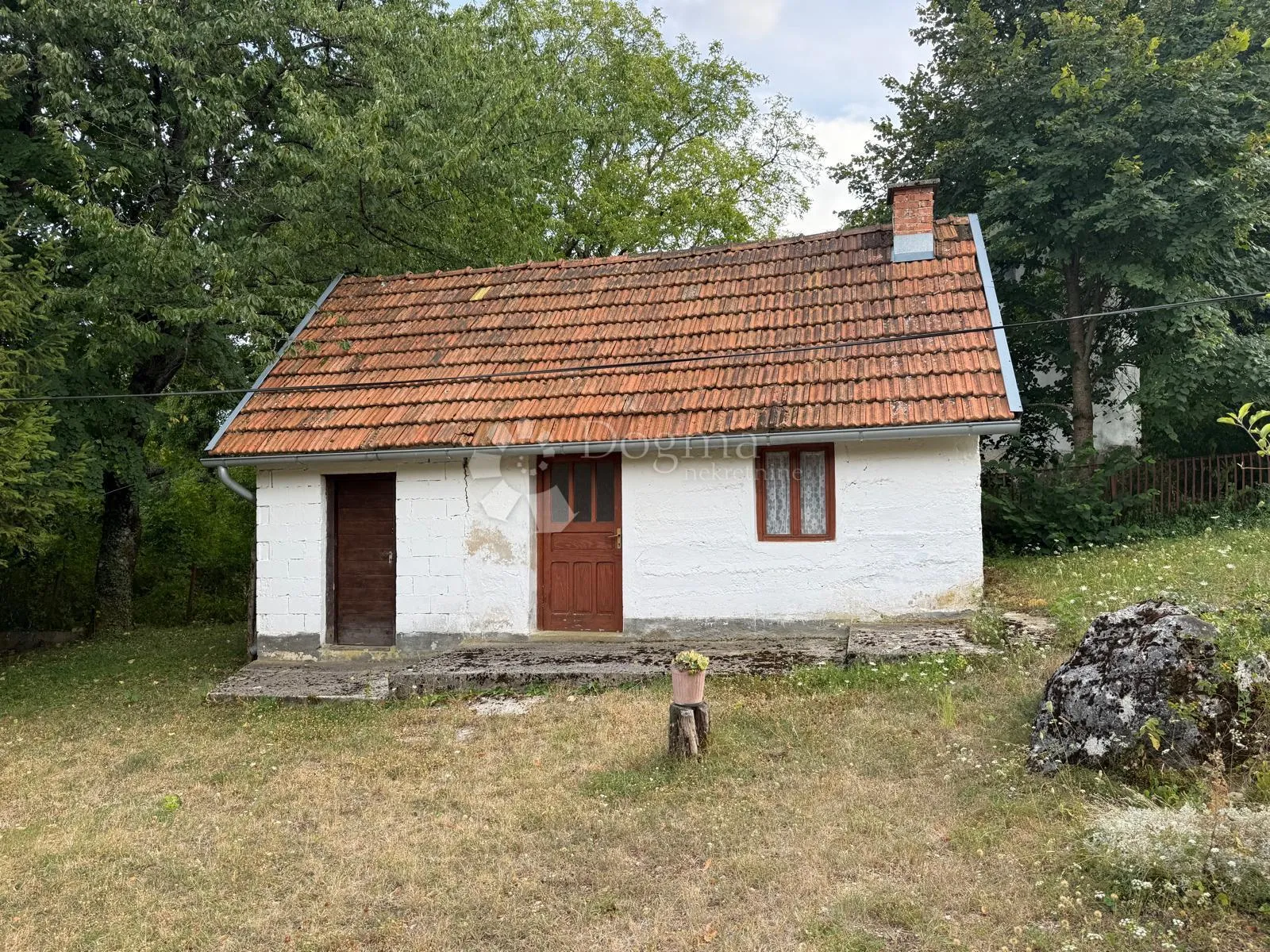 useljivo imanje na osami šuma zelenilo pogled - slika 2