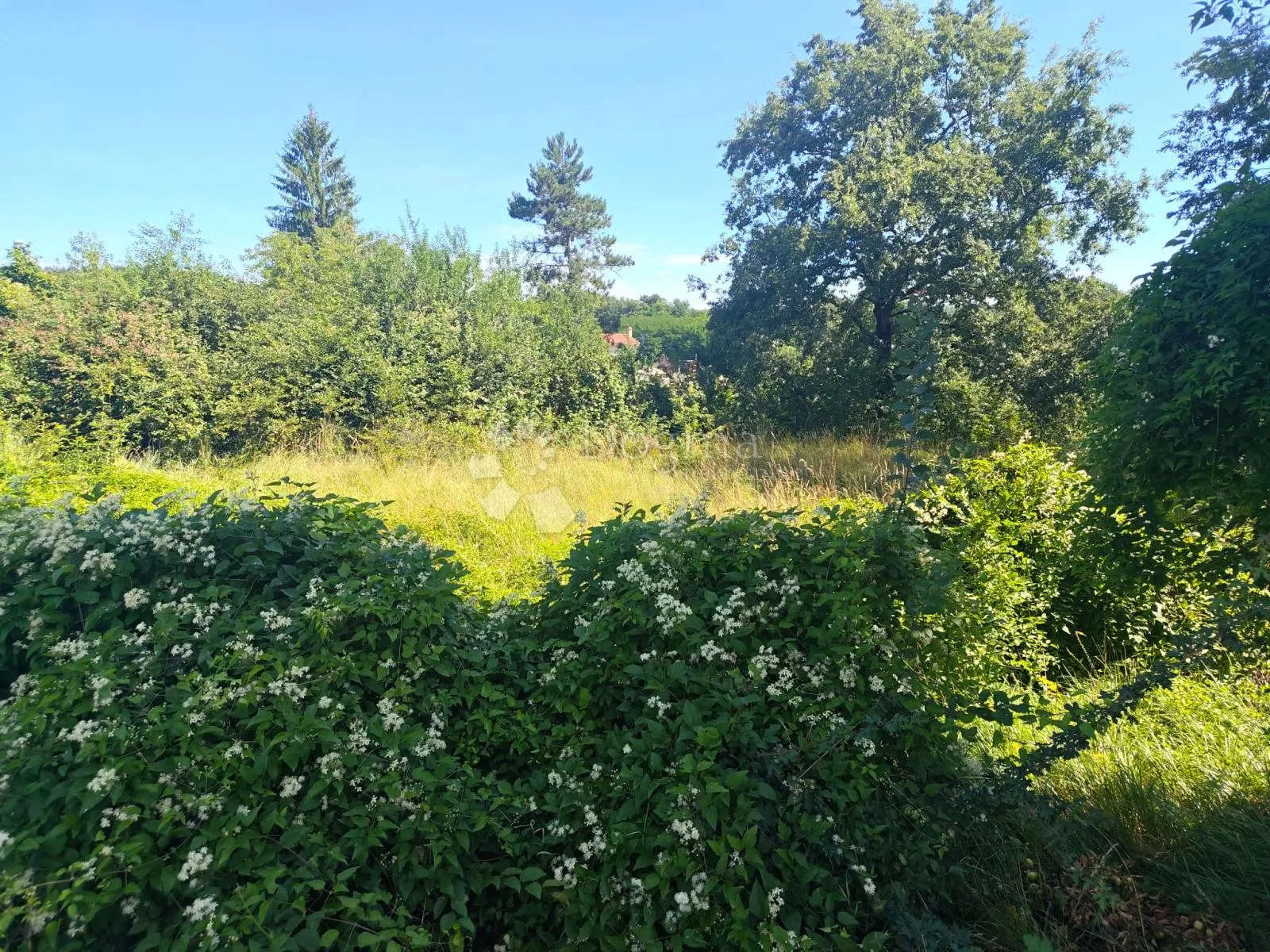 građevinsko zemljište s infrastrukturom, 2290 m² okolica pazina - slika 13