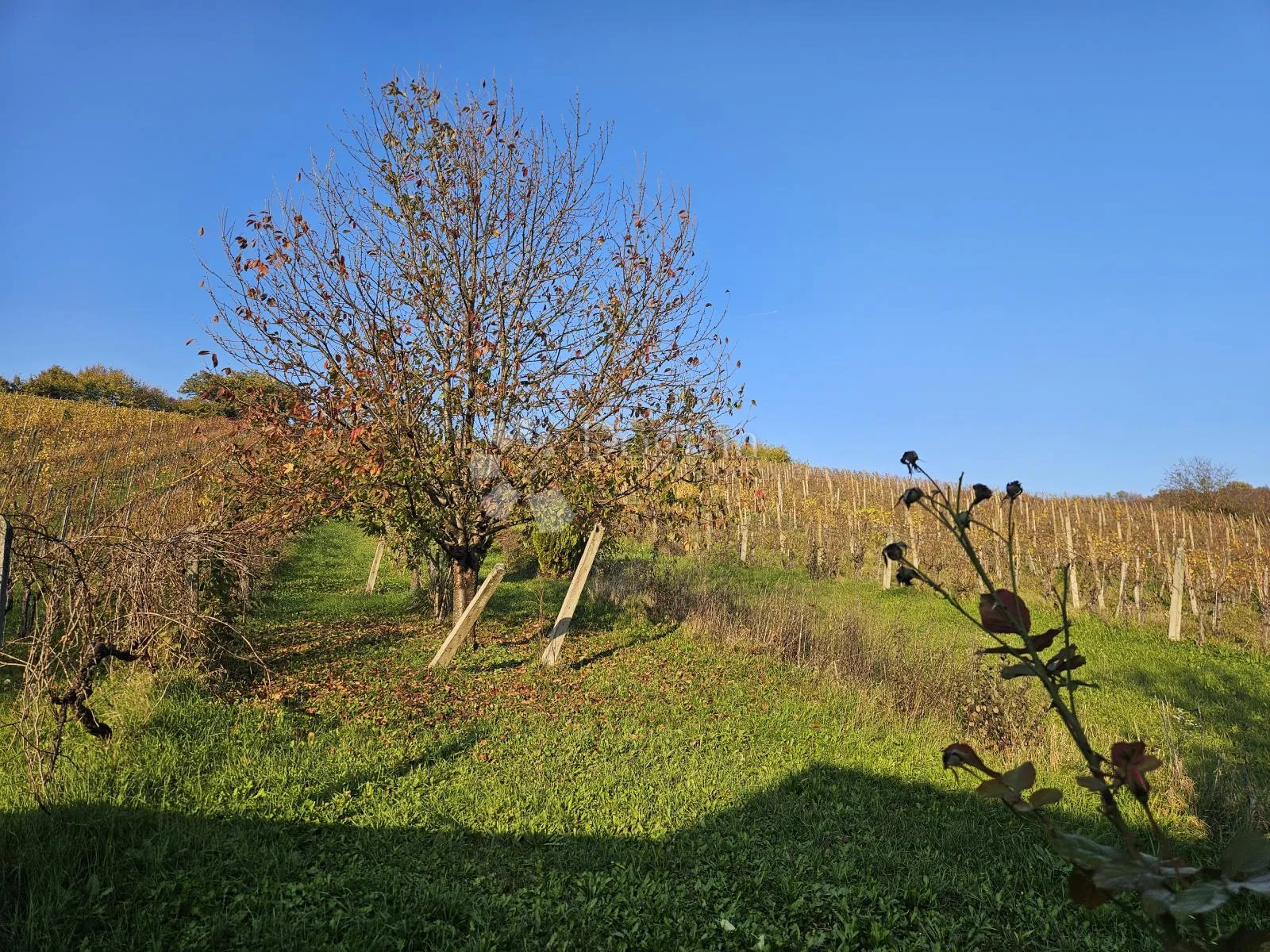 kuća za odmor u lokošin dolu - slika 32