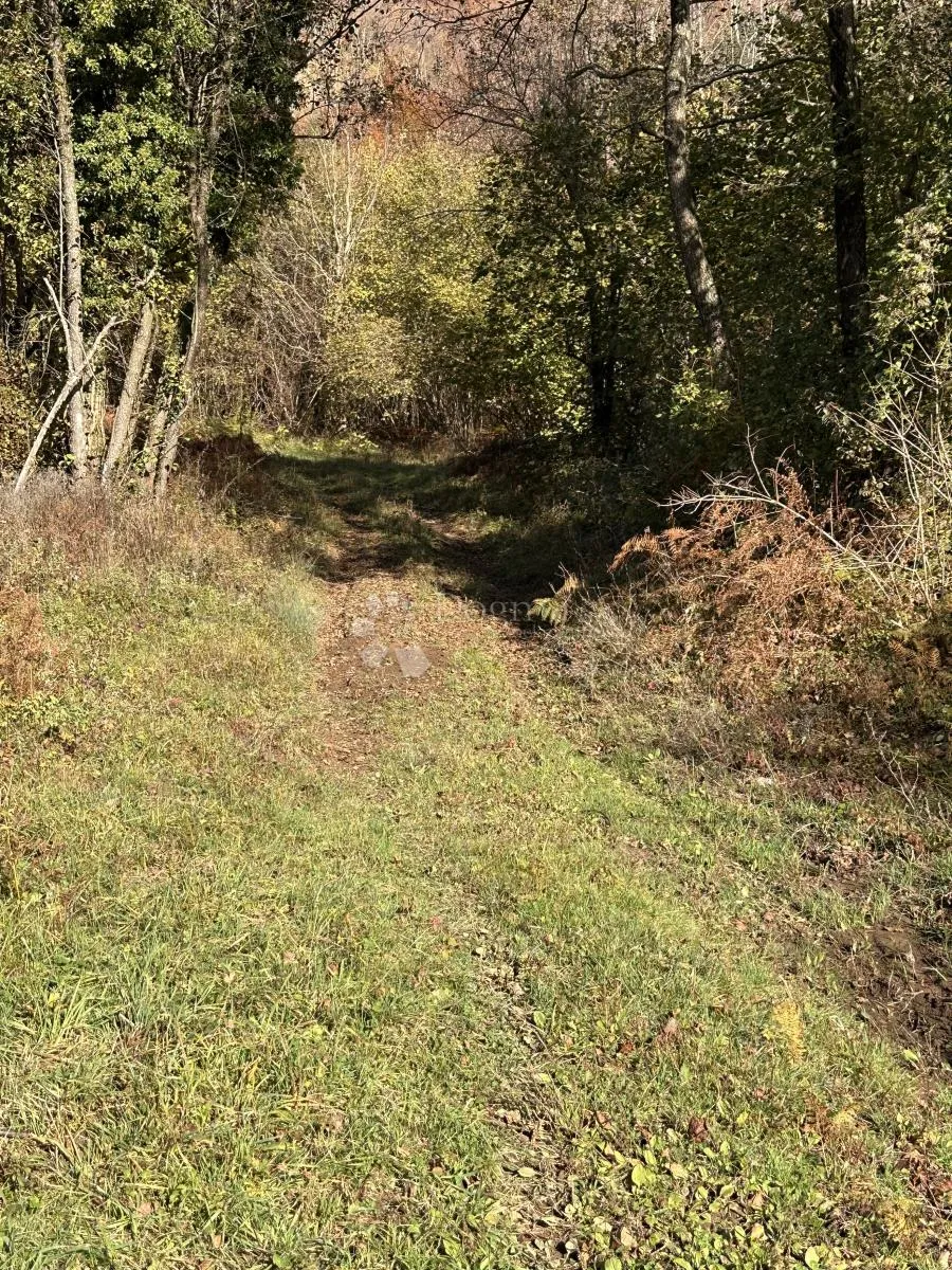 prodaje se poljoprivredno zemljište 3000 m2 podno velebita - slika 17