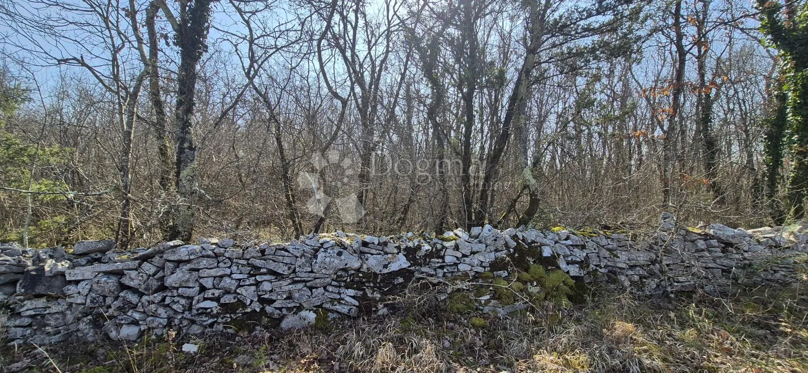 Poljoprivredno zemljište površine 23953 m2 sa ogromnim potencijalom - Glavani, Barban