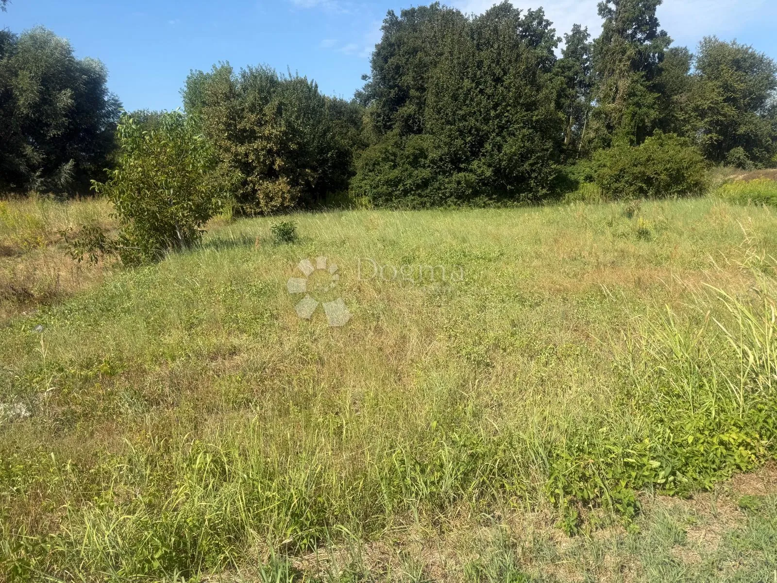 predivna površina u biškupcu - slika 4
