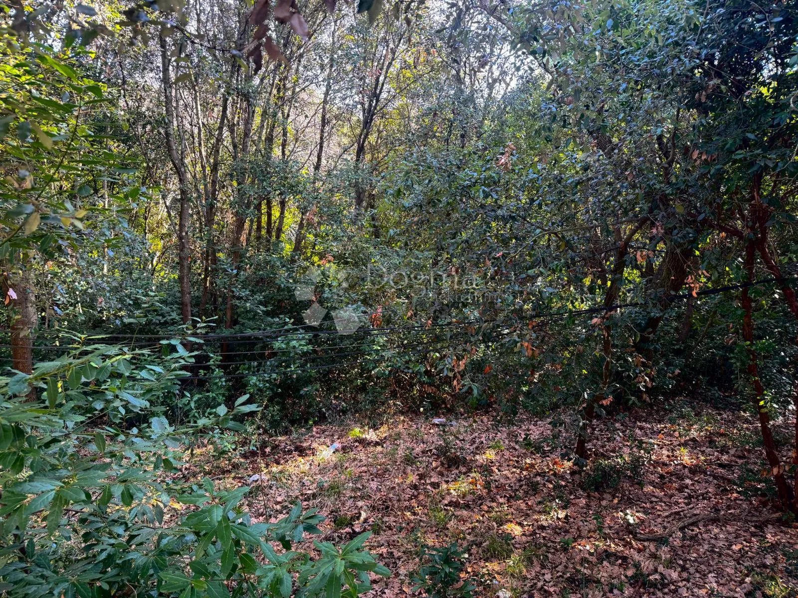 investicijska parcela – građevinski dio i šumska zona za privatnost - slika 2