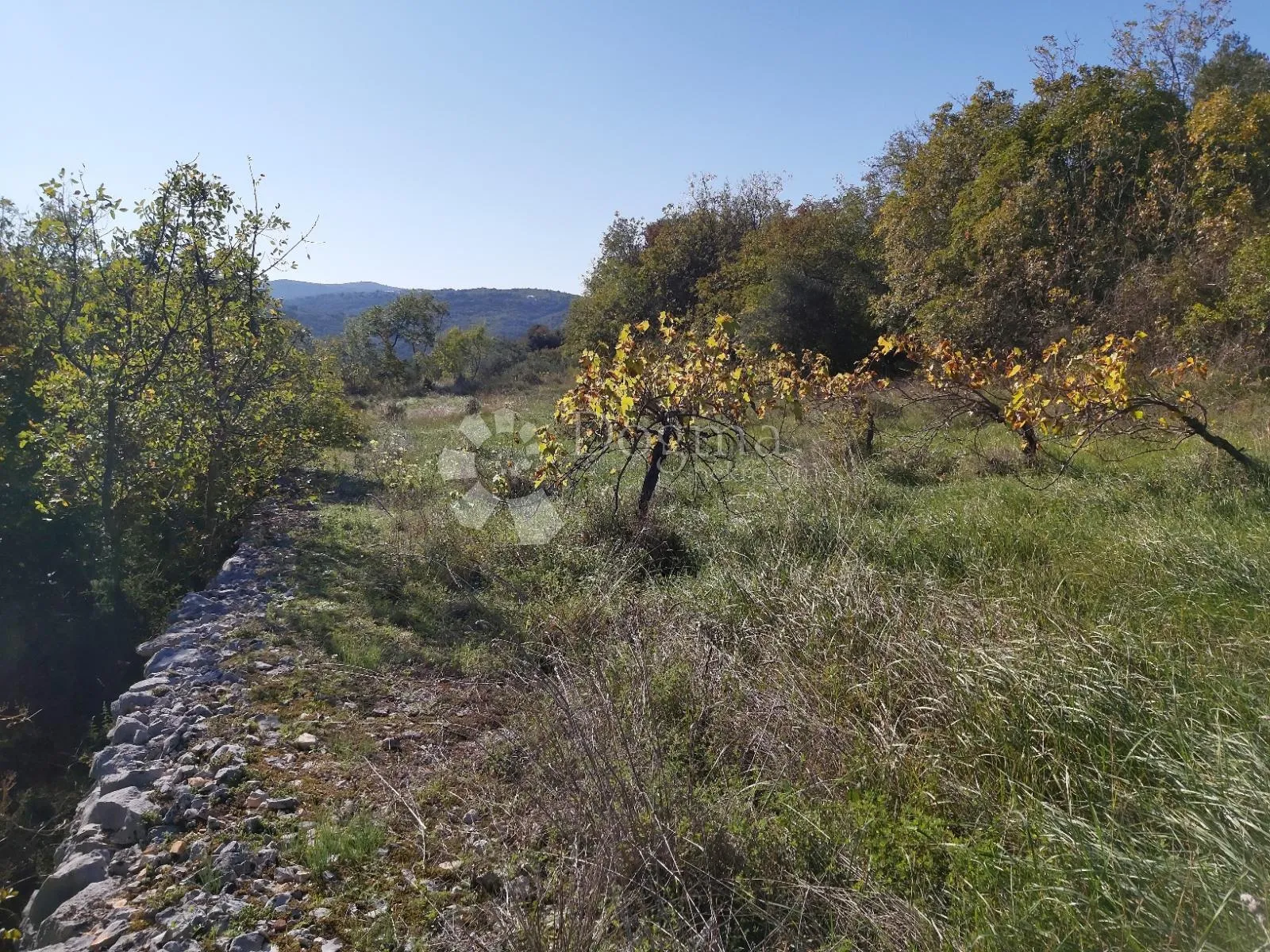 atraktivno poljoprivredno zemljište s pogledom - slika 5
