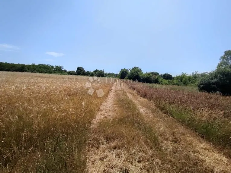 marčana, građevinsko zemljište za stambenu gradju - slika 1