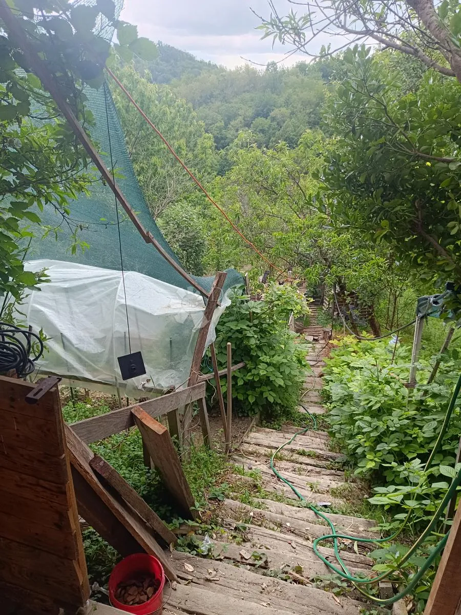 kuća u prirodi nedaleko javnog prijevoza - slika 19